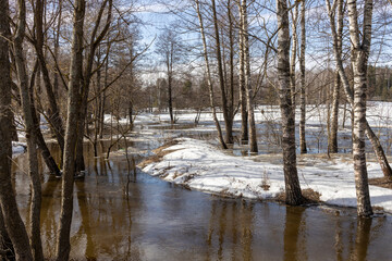  A tranquil winter scene of a flooded river surrounded by snow-covered birch trees, with reflections visible on the water's surface, set against a clear sky