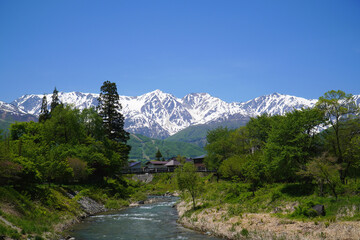 新緑の大出公園から眺めた北アルプス