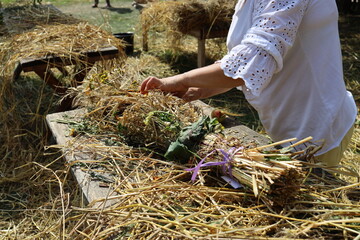 Wiejska kobieta układająca na starym drewnianym stole snopek ze zbóż i kwiatów podczas żniw na wsi © Lukasz