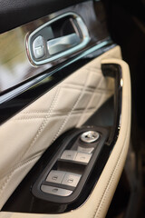 A car door with trim showcasing automotive design details