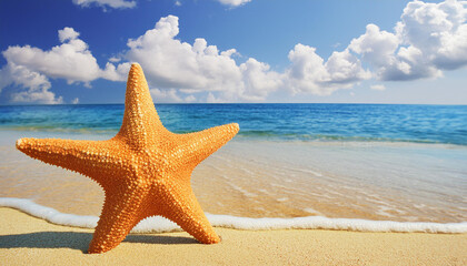 Photo starfish on summer sunny beach at ocean