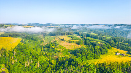 Early morning view of rolling hills and dense forests with a light mist settling over the landscape, creating a serene and tranquil atmosphere.