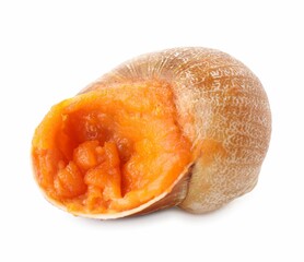 One delicious cooked snail isolated on white