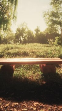 Vintage bench in the park under the morning rays of the sun