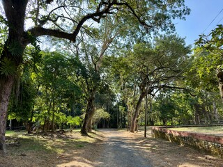 Linda paisagem no parque meio ambiente com muita vegetação.