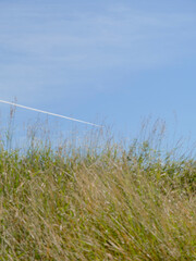 Jet Stream in Blue Sky Over Grasses