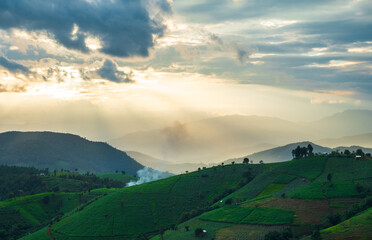Fototapeta premium landscape panorama view beautiful scenery looking rice field fog green tree forest Mountain hill natural blue sky cloud horizontal distant countryside thailand asia travel holiday wind relax dawn time