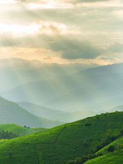 Obraz premium landscape vetical view beautiful scenery looking rice field fog green tree forest Mountain hill natural blue sky cloud horizontal distant countryside thailand asia travel holiday wind relax dawn time