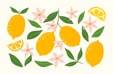 Set of hand drawn lemon fruits with leaves, branches and flowers. Vector modern botanical illustration. Set of citrus tropical fruits. Summer design for pattern, poster, card, fabric, banner, cover.