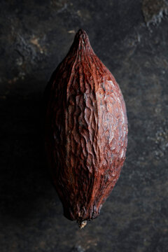 cocoa pod on a black backround