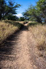 Dry dirt trail through a Seabird Nesting Preserve, protected environment for birds with hiking trails for people, birdwatching in Wailea-Makena, Maui, Hawaii

