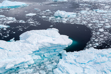 Pack Ice and Small Melting Icebergs Floating in a Turquoise Sea Near Adelaide Island, Antarctica Peninsula in January 