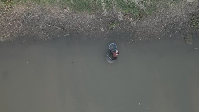 Fisherman collecting fishes in his net with a buey in Saraburi