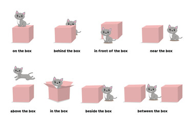 Preposition of place illustration of cat on, above, behind, in front of, in, near, beside, and between the box