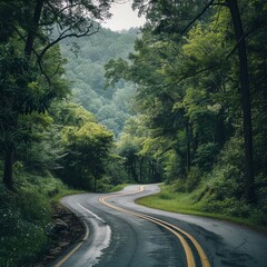 Fototapeta premium Serene winding road through dense green forest, showcasing natural beauty and tranquility of the outdoors.