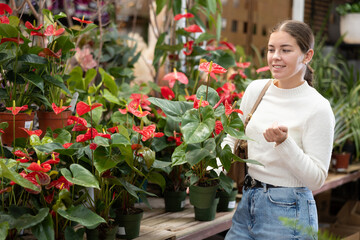 Fototapeta premium Girl chooses and buys flowers Anthurium in a flower shop