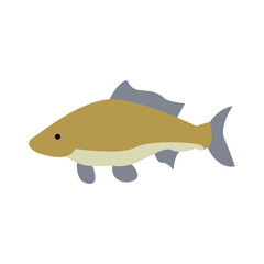 Carp icon