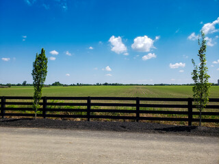 Fototapeta premium Fenced Agricultural Field with New Growth During a Sunny Day
