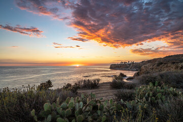 Gorgeous Rancho Palos Verdes at Sunset