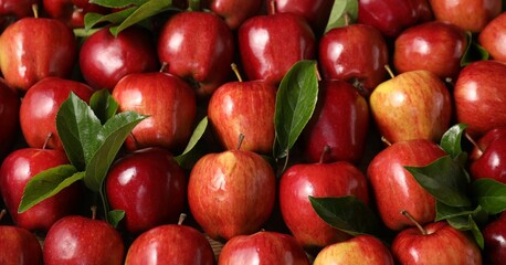 Fresh ripe red apples with leaves as background, closeup