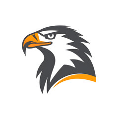 Fototapeta premium eagle head illustration