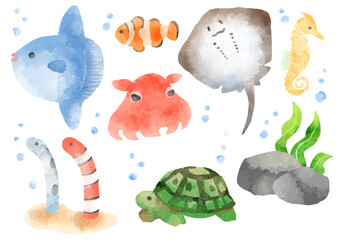 いろいろな魚のイラスト　手描き　水彩風