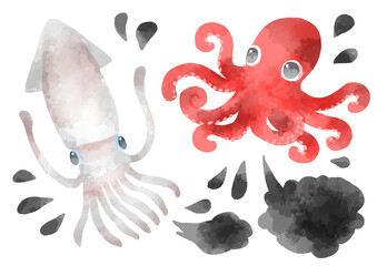 タコとイカのイラスト　手描き　水彩風ｖ © なよ子