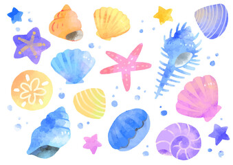 いろいろな貝殻のイラスト　手描き　水彩風