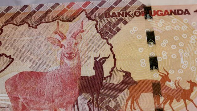1000 Ugandan shilling national currency money legal tender bill central bank 4