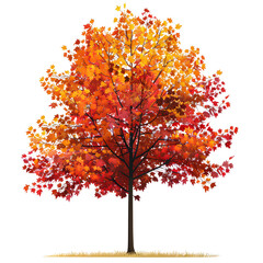 Fototapeta premium Vector illustration of a maple tree on a white background. Suitable for crafting and digital design projects.[A-0004]