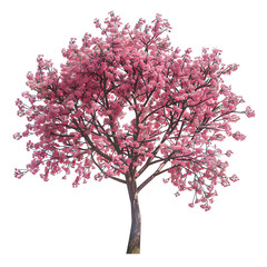 Obraz premium Vector illustration of a cherry tree on a white background. Suitable for crafting and digital design projects.[A-0001]