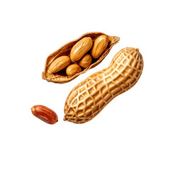 Half opened peanuts shell isolated on transparent background