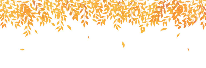 紅葉　葉　秋　背景