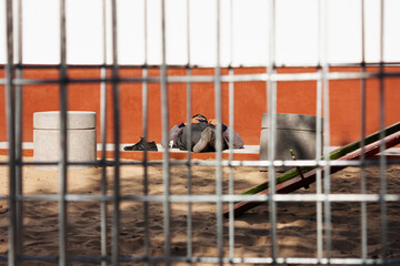 Workerman relaxing lying down the sunlight on a playing park in his break time