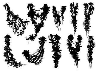 Vertical jungle tropical liana branch vine silhouettes, vector ivy creeper plants. Hanging tree with climbing leaves and rope roots, liana moss or wall climber flowers for jungle rainforest frame