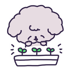プランターの発芽した双葉とかわいいトイプードルの子犬のイラスト