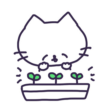 プランターの発芽した双葉とかわいい白い色の子猫のイラスト