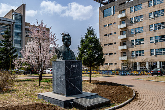 On April 22, 2024, Changchun, China, the architectural statue of Zhang Weida on the Qianwei Campus of Jilin University.