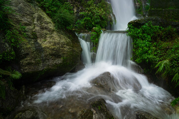 Paglajhora waterfall , famous waterfall in monsoon, at Kurseong, Himalayan mountains of Darjeeling, West Bengal, India. Origin of Mahananda River flowing through Mahananda Wildlife Sanctuary.