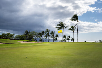 Dramatic scenic golf course, golf ball on the green leading to a yellow flag, palm trees blowing in...