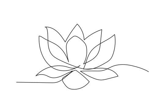 Continuous line drawing of lotus flower. One line drawing background. Vector illustration. Lotus flower continuous line.