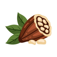 cocoa pod and leaf