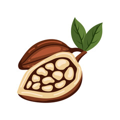cocoa beans and leaves