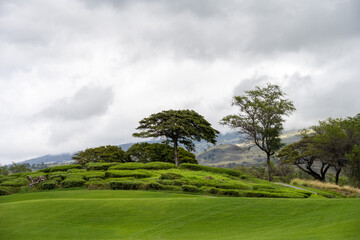 Scenic golf course with manicured plants, trees, mountainside and storm clouds in background, tropical golf vacation, Maui, Hawaii
