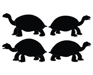 Set of Black Aldabra Giant Tortoise Silhouette Vector on a white background