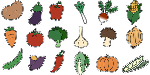 채소 모음(야채+브로콜리+버섯+호박+고추)