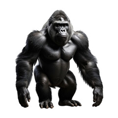 Fototapeta premium gorilla Isolated on transparent background PNG Generative AI