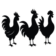 Set of Black Rooster Silhouette Vector on a white background