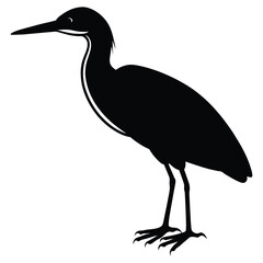 Indian pond heron or paddy bird black silhouette -vector illustration on white background