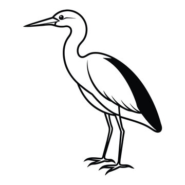 recommend clip art: Line art | Outline Indian pond heron or paddy bird black silhouette -vector illustration